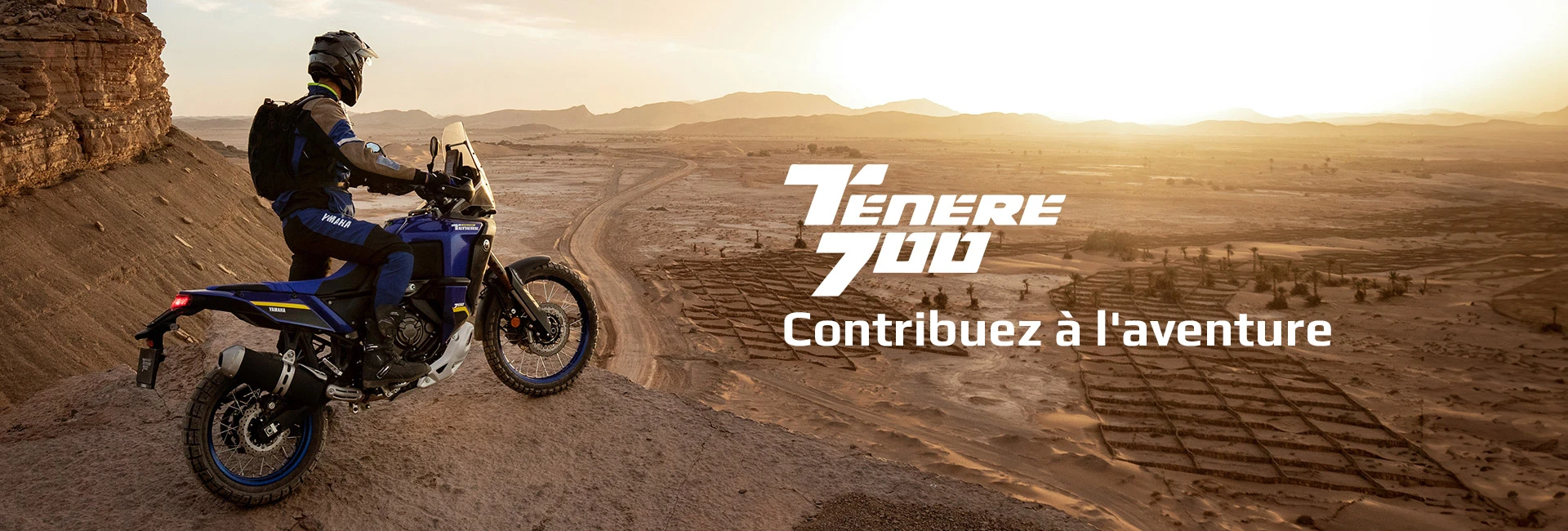 Sondage Ténéré 2024